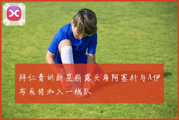 拜仁青训新星崭露头角阿塞科与A伊布或将加入一线队